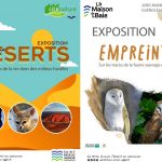 Les animations estivales à la Maison de la Baie à Hillion